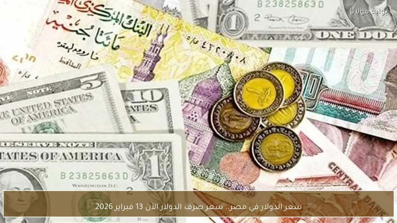 سعر الدولار في مصر.. سعر صرف الدولار الآن 13 فبراير 2026