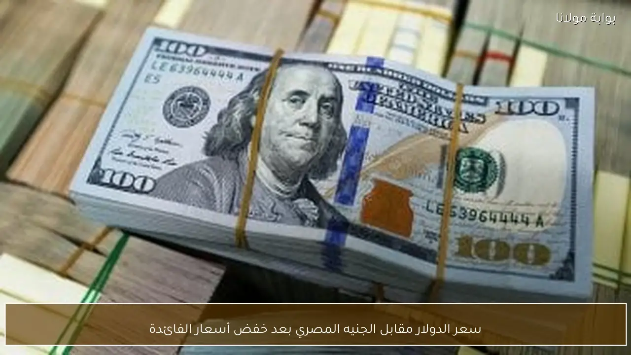 سعر الدولار مقابل الجنيه المصري بعد خفض أسعار الفائدة