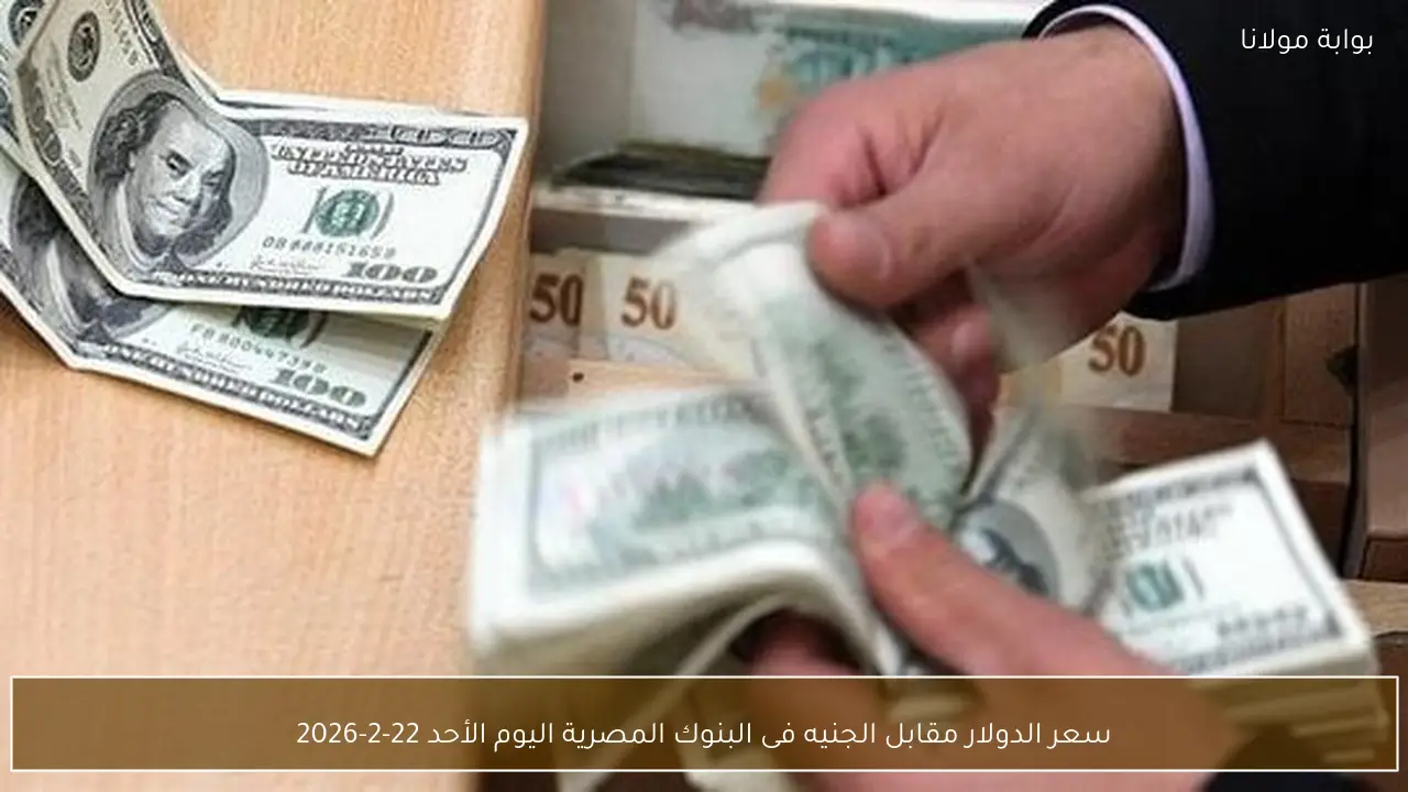 سعر الدولار مقابل الجنيه فى البنوك المصرية اليوم الأحد 22-2-2026