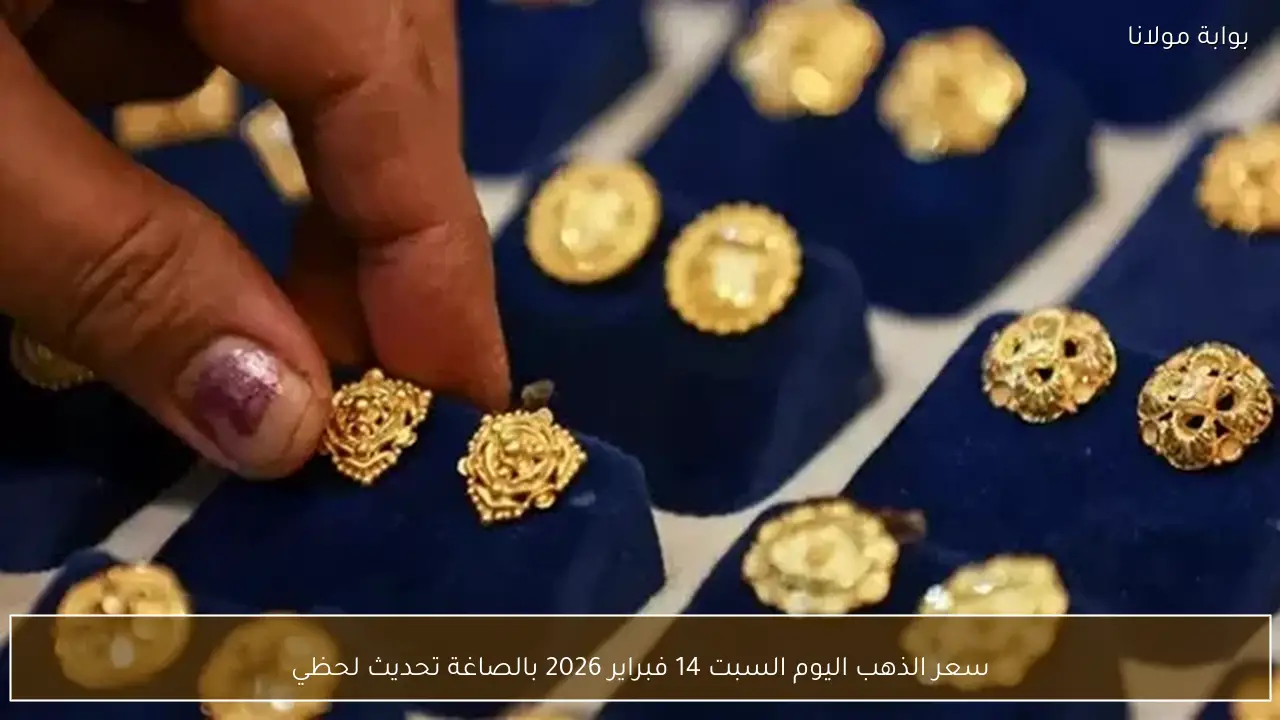 سعر الذهب اليوم السبت 14 فبراير 2026 بالصاغة تحديث لحظي