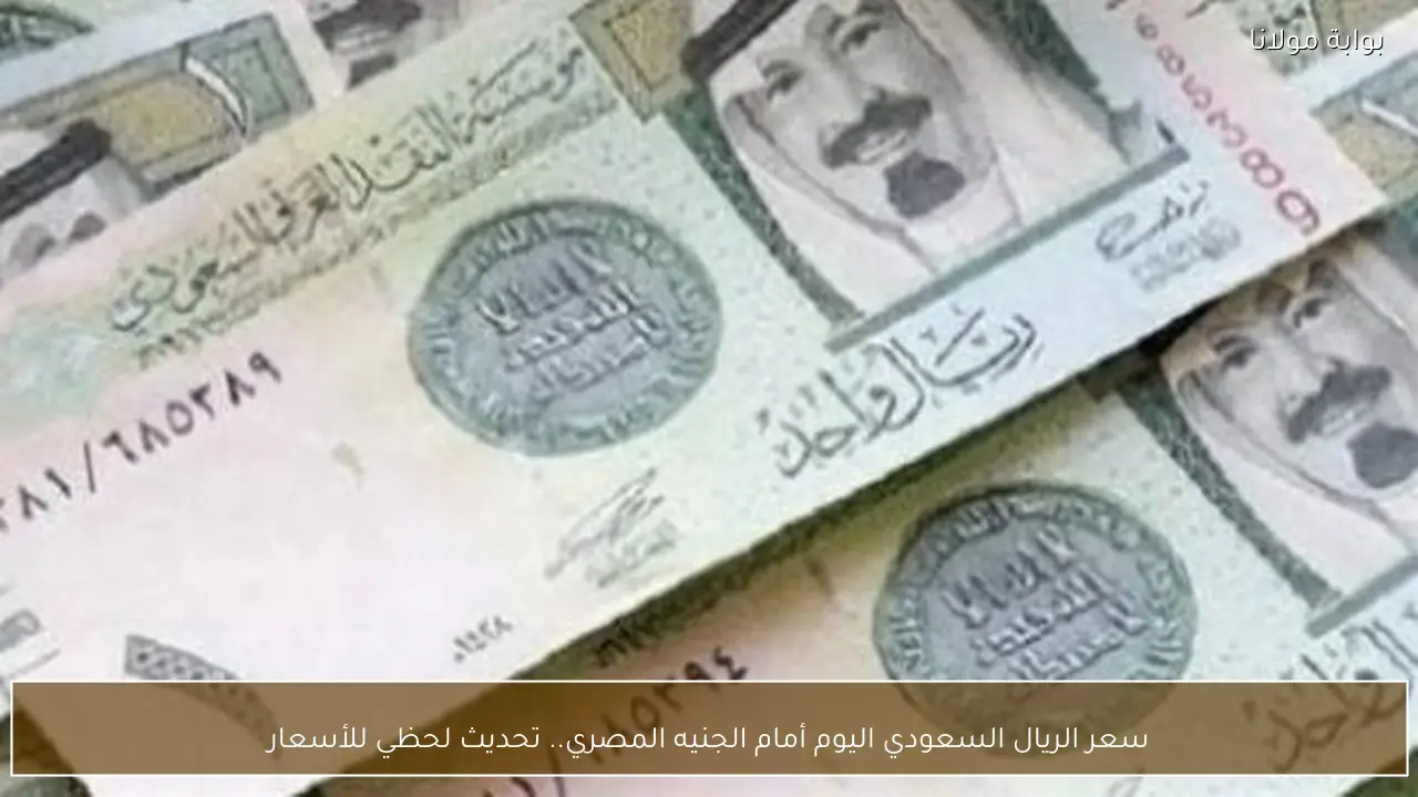 سعر الريال السعودي اليوم أمام الجنيه المصري.. تحديث لحظي للأسعار