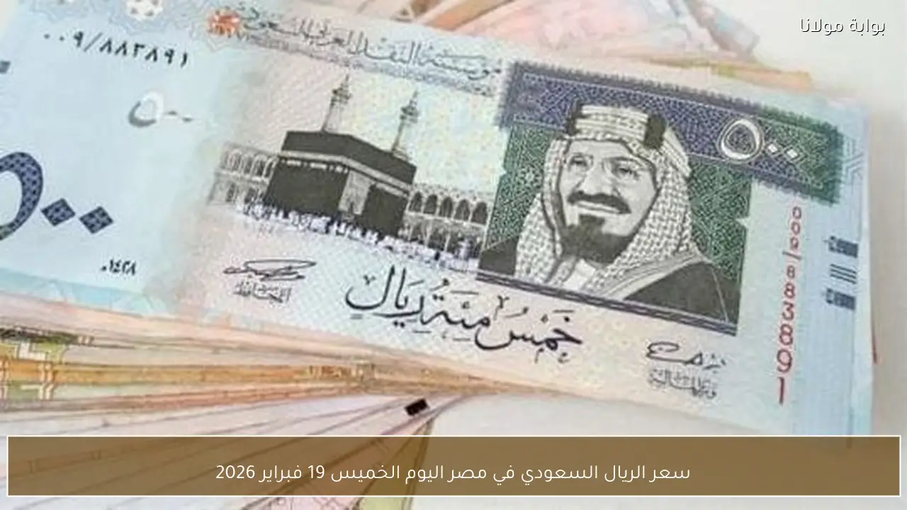 سعر الريال السعودي في مصر اليوم الخميس 19 فبراير 2026