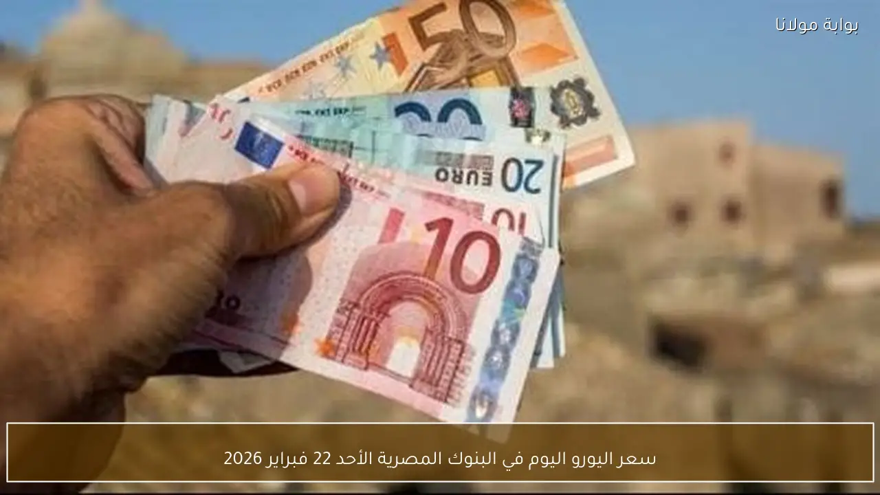 سعر اليورو اليوم في البنوك المصرية الأحد 22 فبراير 2026