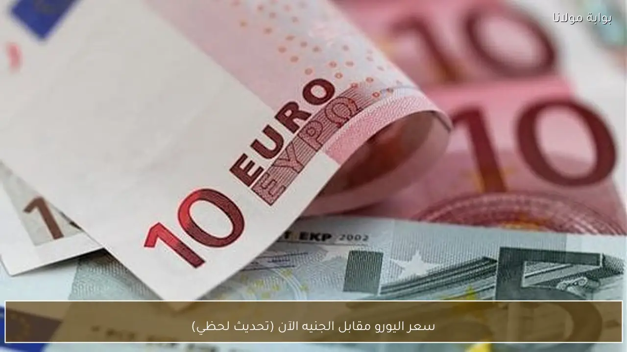 سعر اليورو مقابل الجنيه الآن (تحديث لحظي)