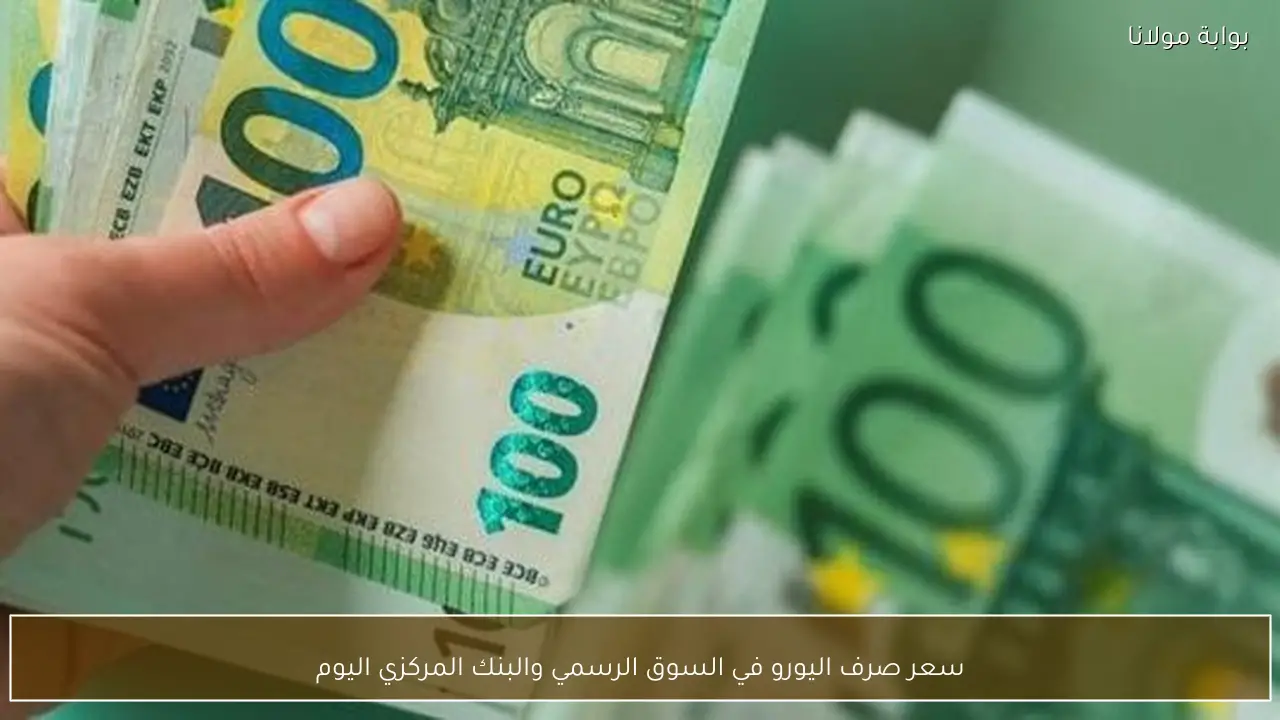 سعر صرف اليورو في السوق الرسمي والبنك المركزي اليوم