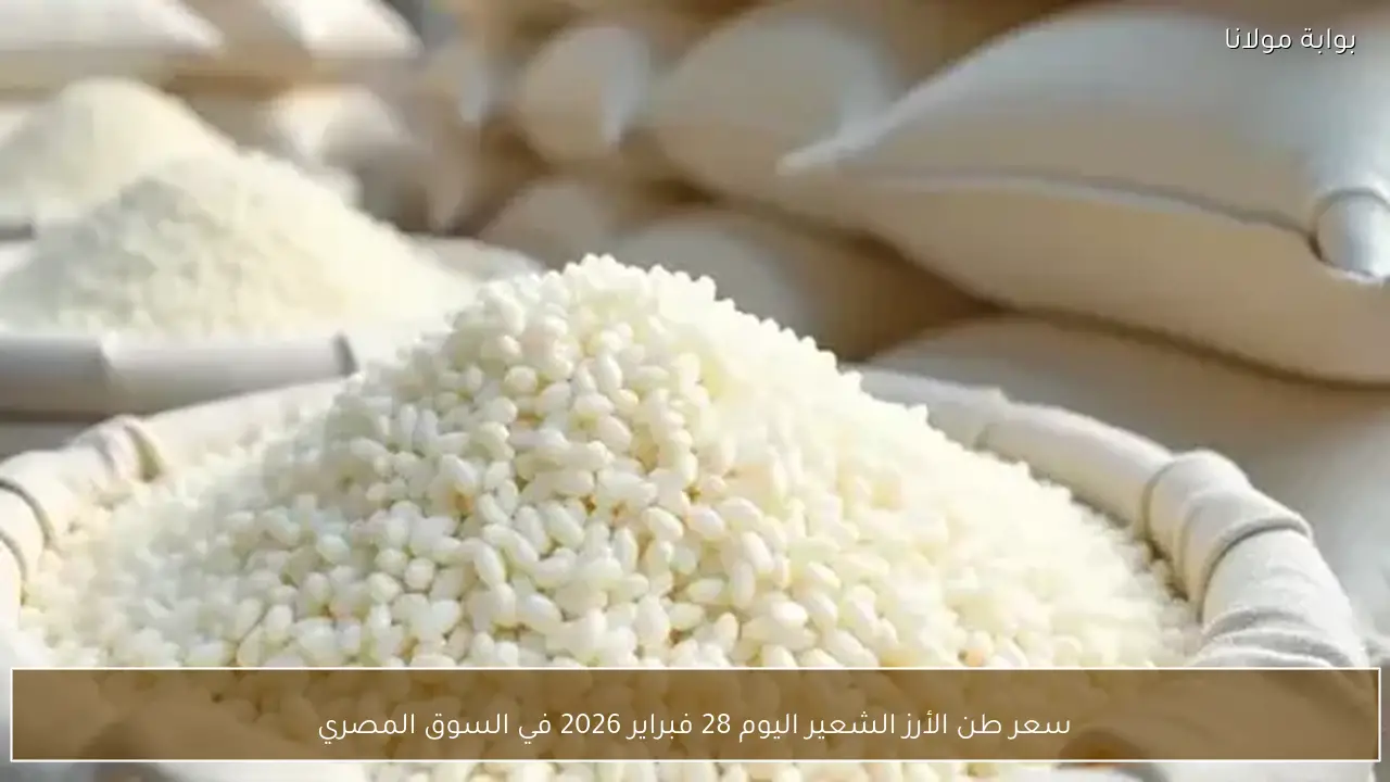 سعر طن الأرز الشعير اليوم 28 فبراير 2026 في السوق المصري