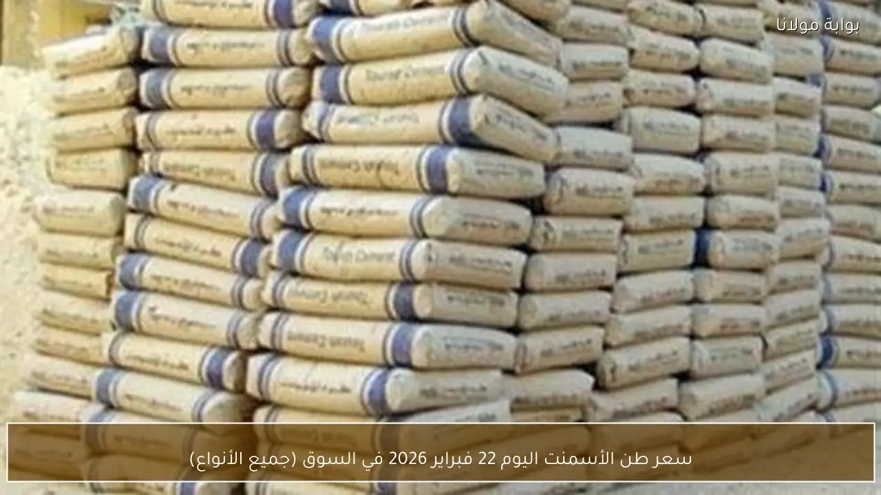 سعر طن الأسمنت اليوم 22 فبراير 2026 في السوق (جميع الأنواع)