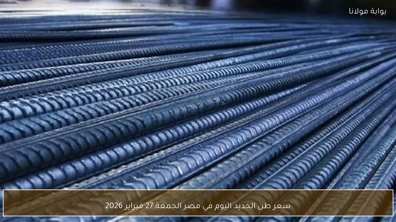 سعر طن الحديد اليوم في مصر الجمعة 27 فبراير 2026