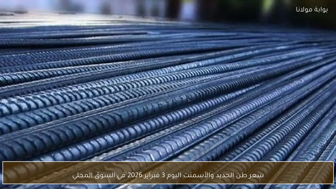 سعر طن الحديد والأسمنت اليوم 3 فبراير 2026 في السوق المحلي