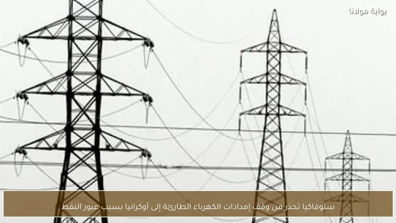 سلوفاكيا تحذر من وقف إمدادات الكهرباء الطارئة إلى أوكرانيا بسبب عبور النفط