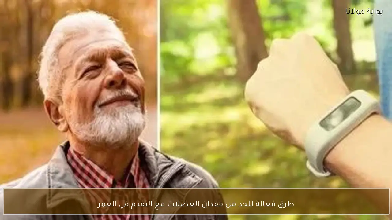 طرق فعالة للحد من فقدان العضلات مع التقدم في العمر