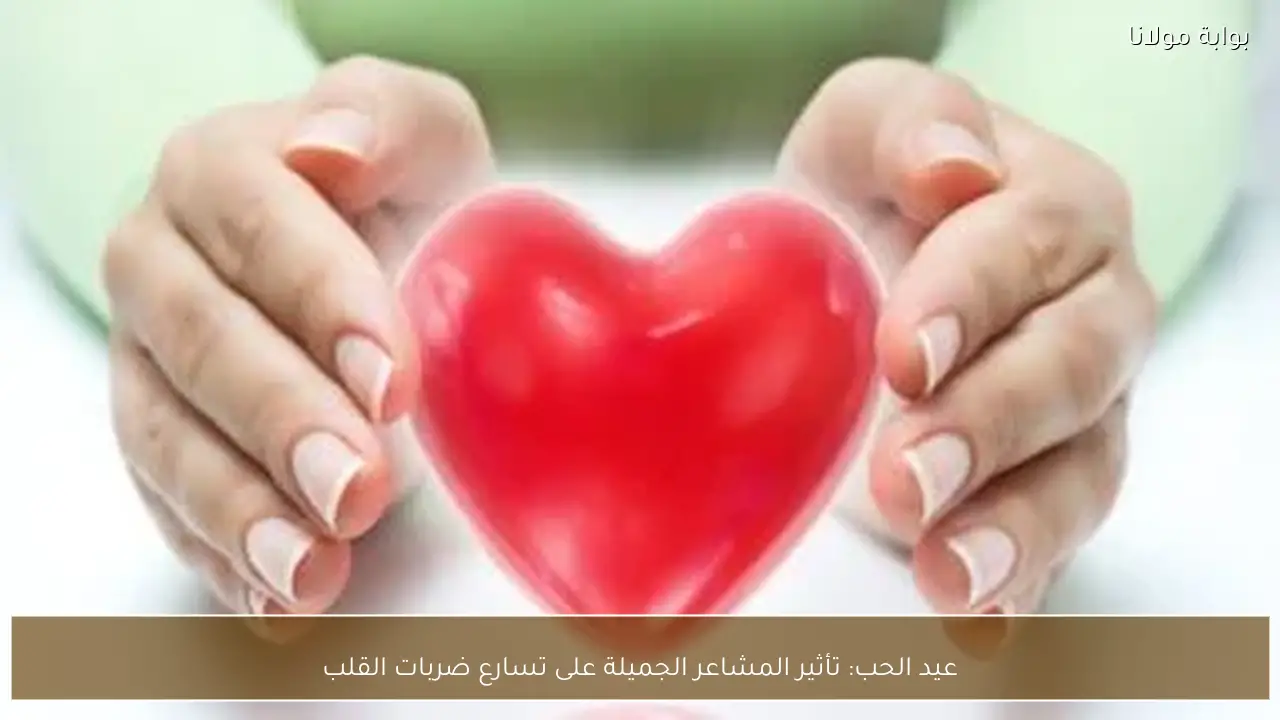 عيد الحب: تأثير المشاعر الجميلة على تسارع ضربات القلب