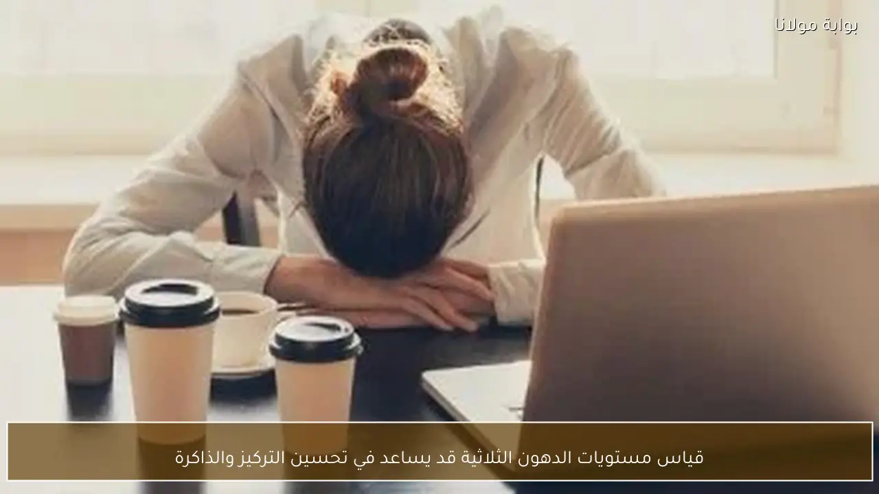 قياس مستويات الدهون الثلاثية قد يساعد في تحسين التركيز والذاكرة