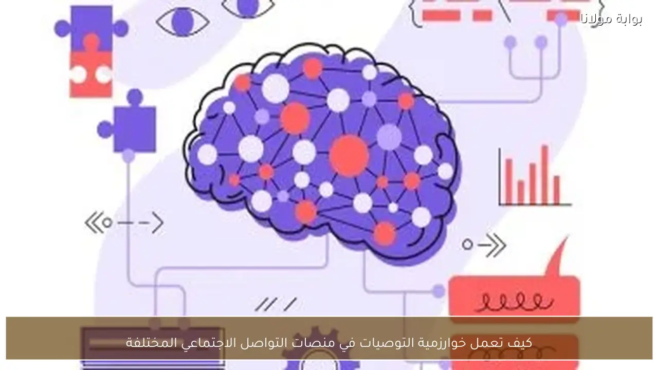 كيف تعمل خوارزمية التوصيات في منصات التواصل الاجتماعي المختلفة