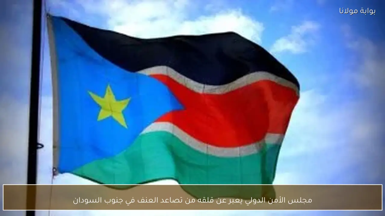 مجلس الأمن الدولي يعبر عن قلقه من تصاعد العنف في جنوب السودان