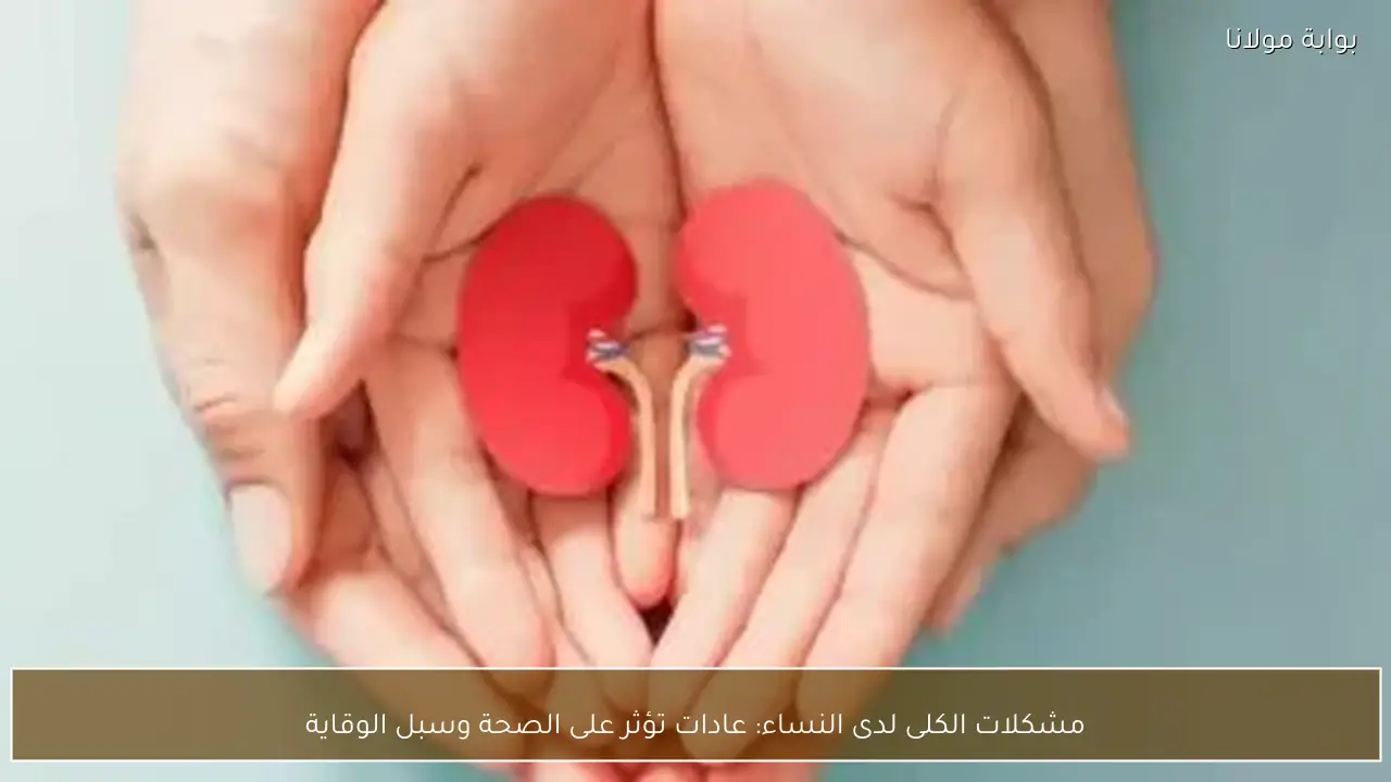 مشكلات الكلى لدى النساء: عادات تؤثر على الصحة وسبل الوقاية
