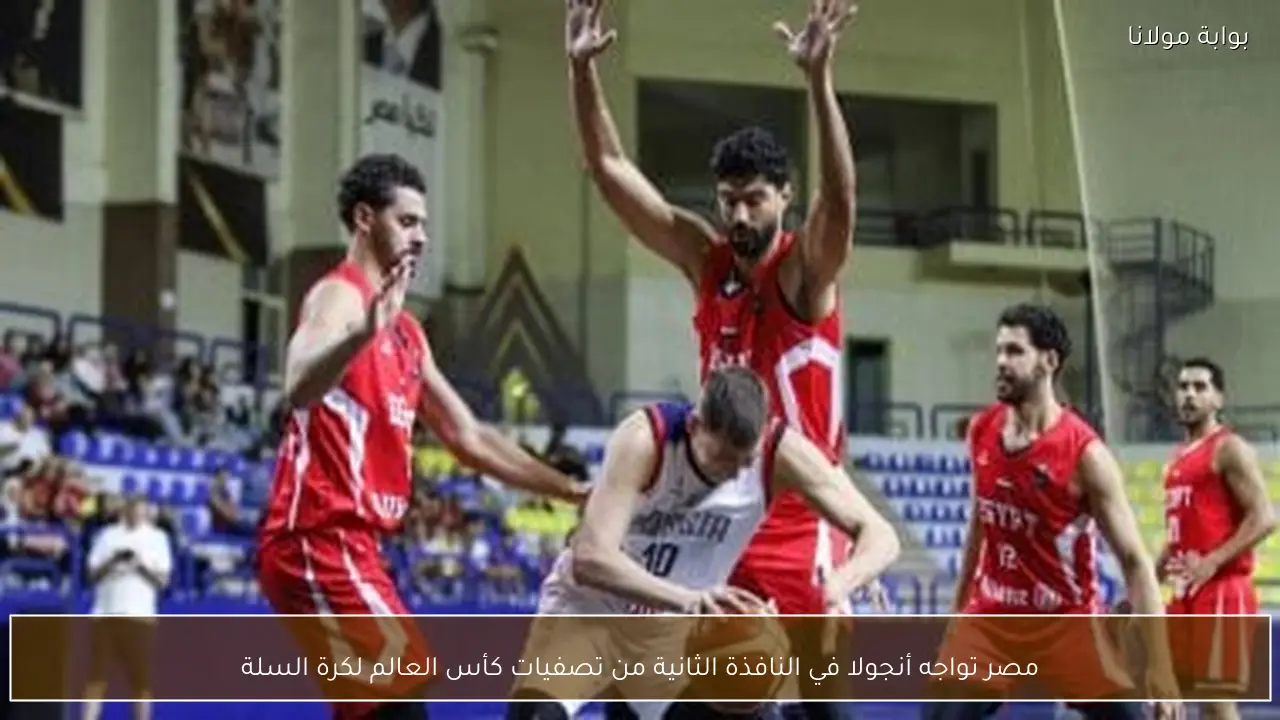 مصر تواجه أنجولا في النافذة الثانية من تصفيات كأس العالم لكرة السلة