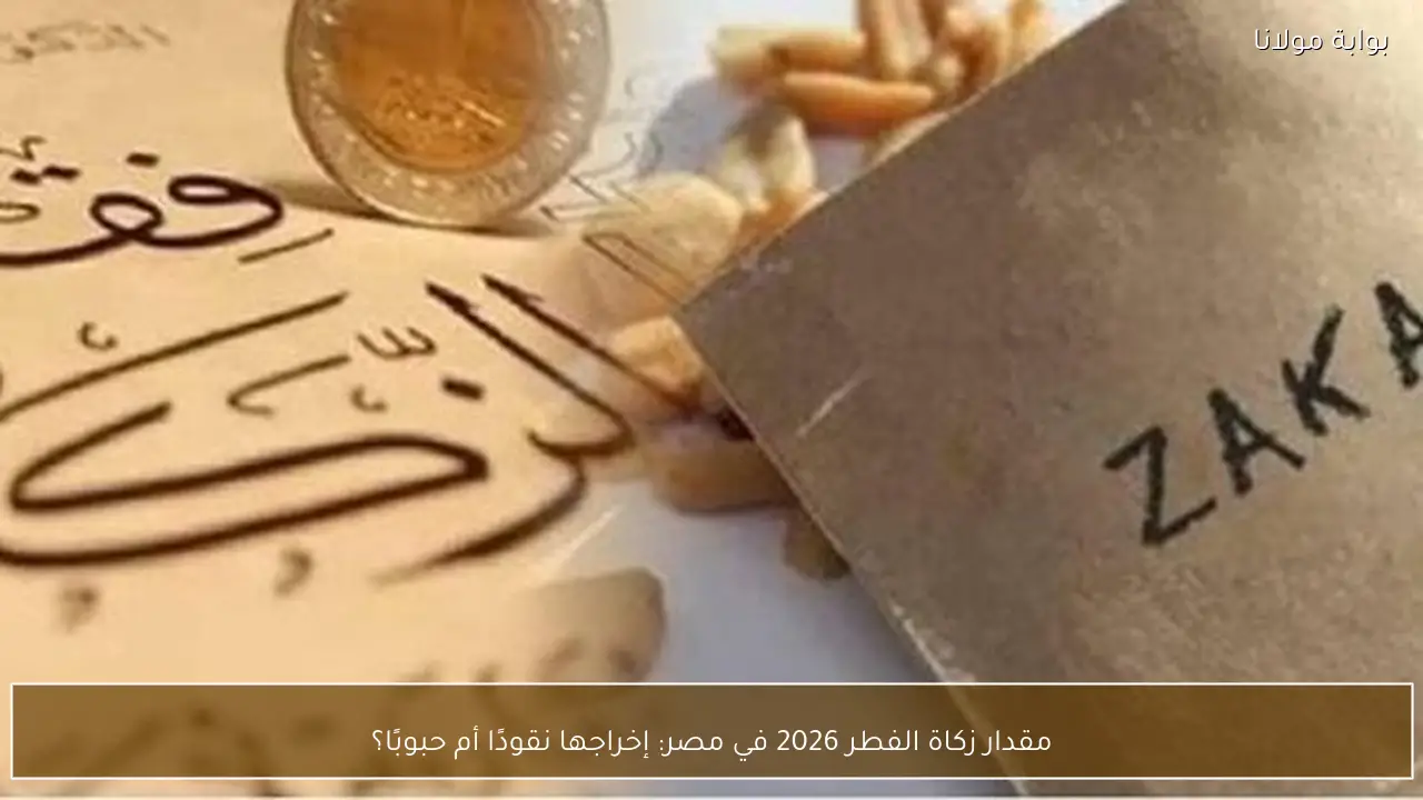 مقدار زكاة الفطر 2026 في مصر: إخراجها نقودًا أم حبوبًا؟