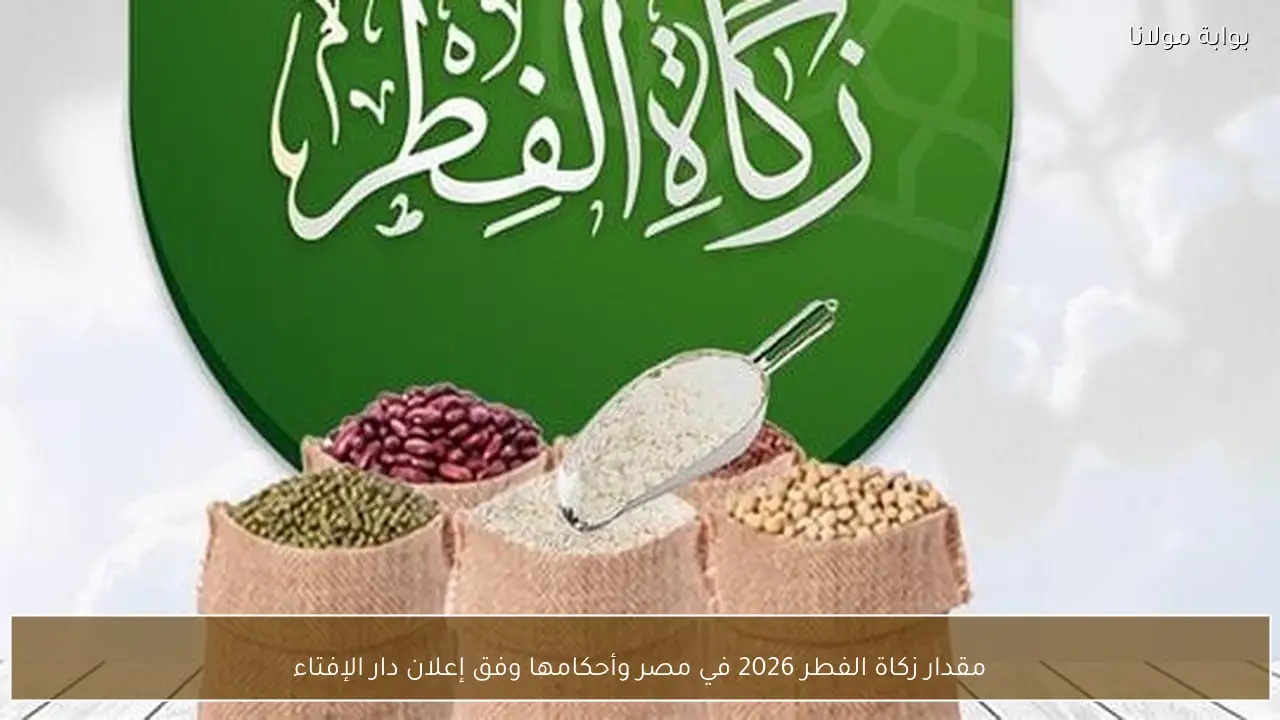 مقدار زكاة الفطر 2026 في مصر وأحكامها وفق إعلان دار الإفتاء