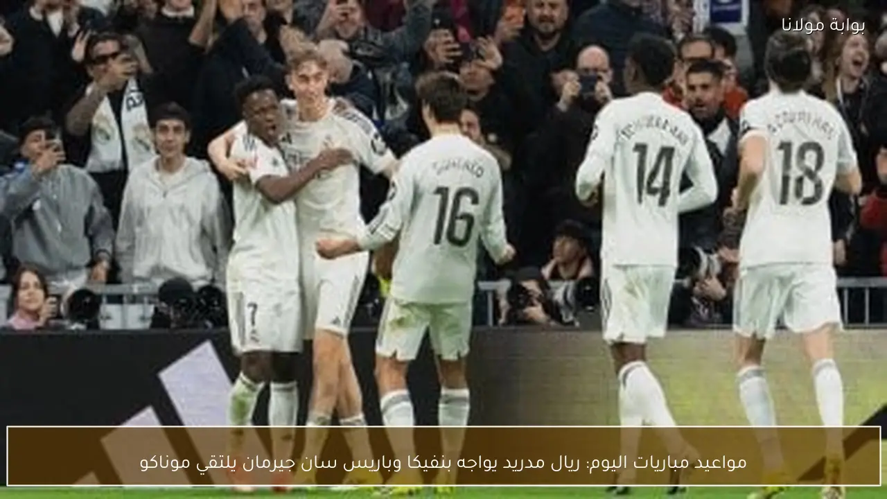 مواعيد مباريات اليوم: ريال مدريد يواجه بنفيكا وباريس سان جيرمان يلتقي موناكو