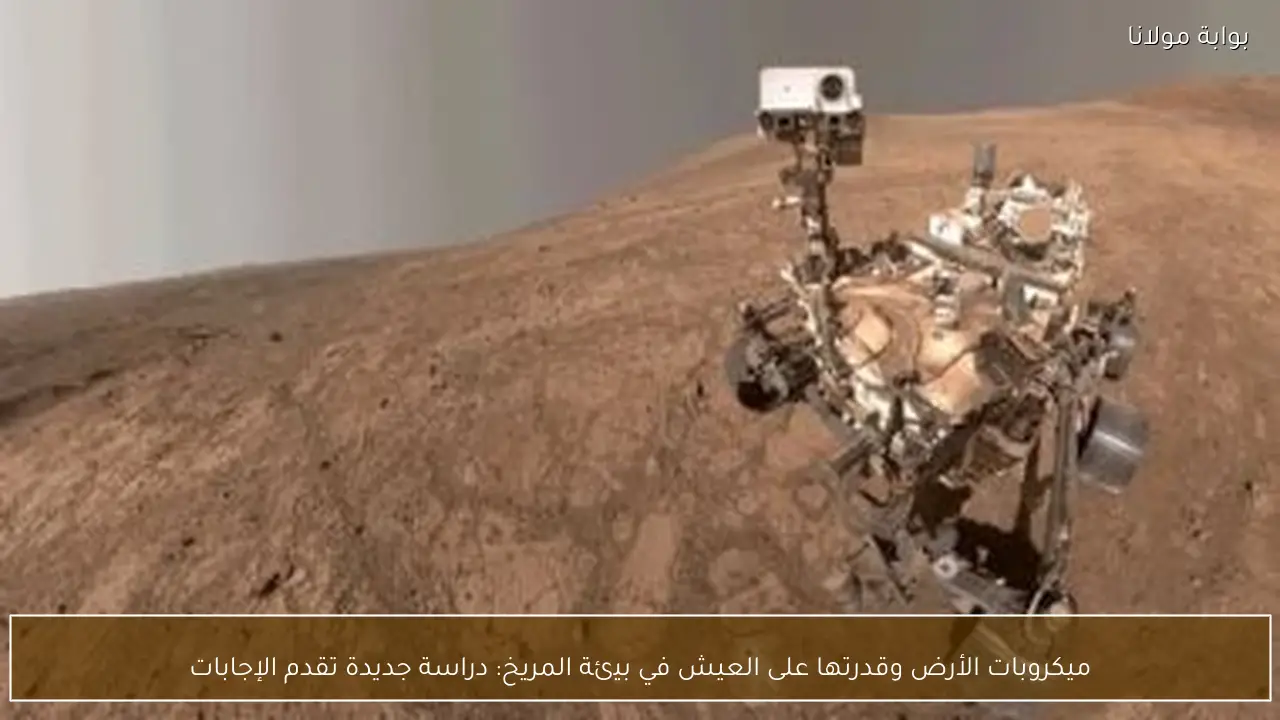 ميكروبات الأرض وقدرتها على العيش في بيئة المريخ: دراسة جديدة تقدم الإجابات