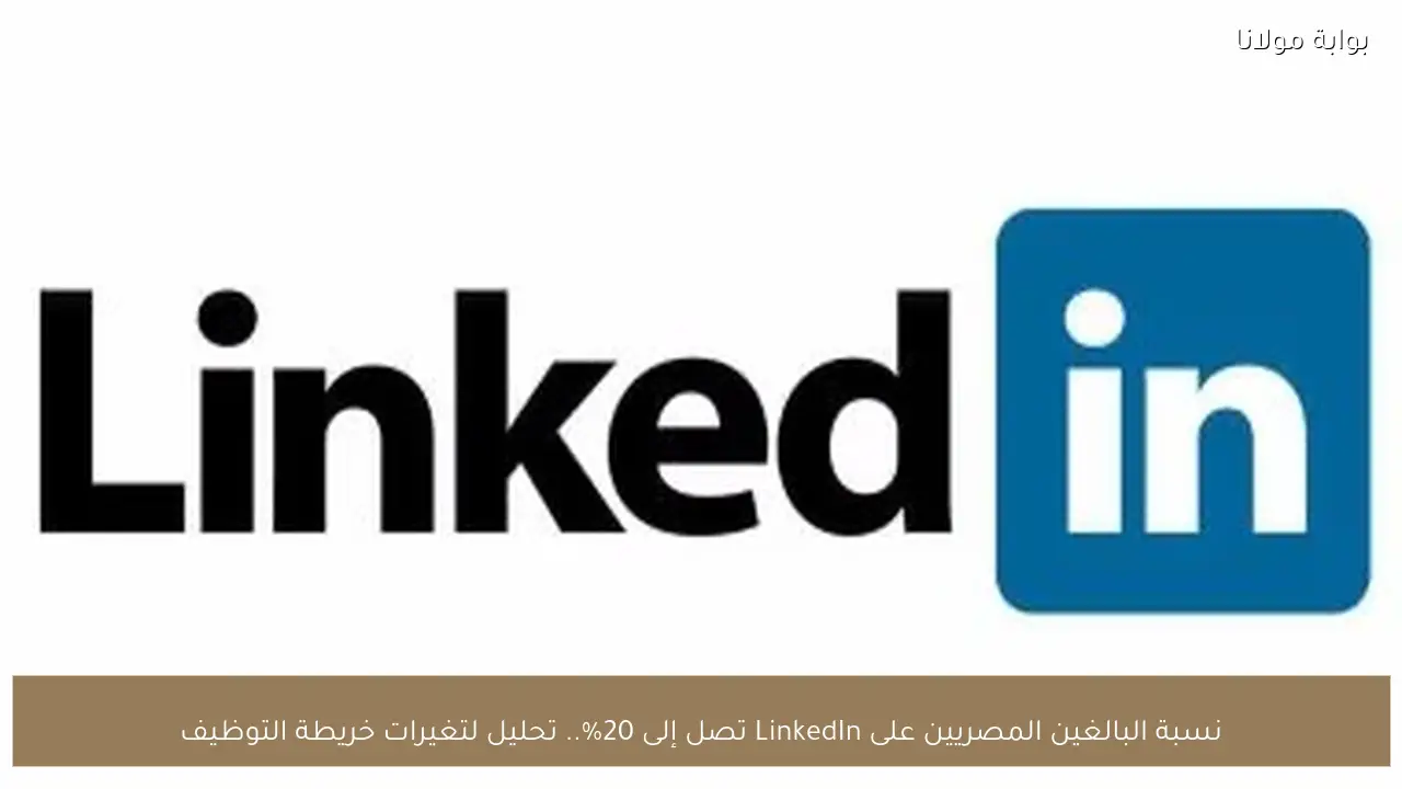 نسبة البالغين المصريين على LinkedIn تصل إلى 20%.. تحليل لتغيرات خريطة التوظيف
