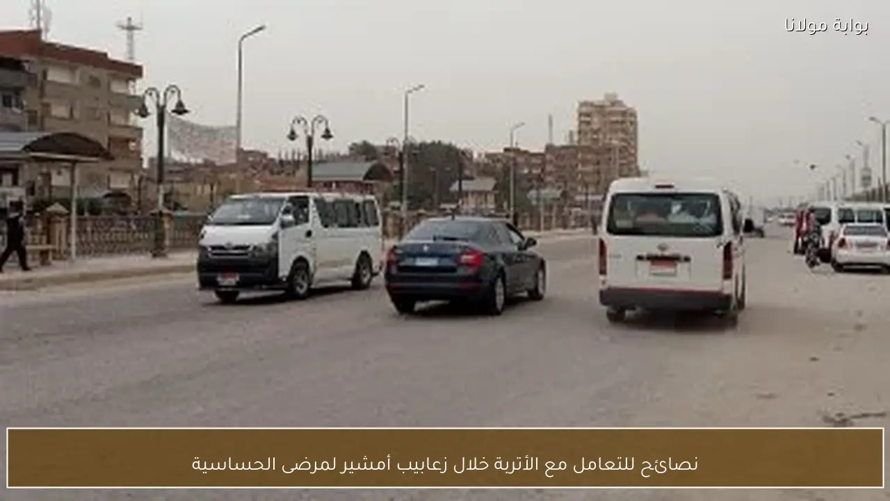 نصائح للتعامل مع الأتربة خلال زعابيب أمشير لمرضى الحساسية