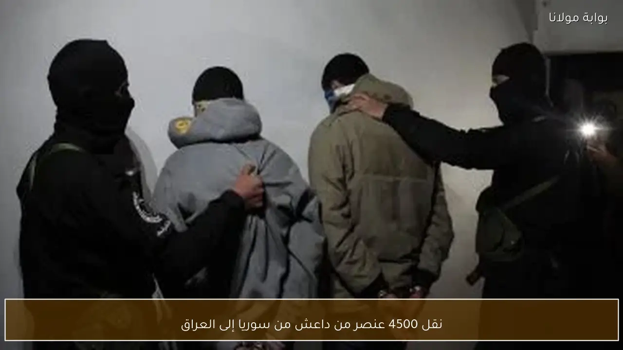 نقل 4500 عنصر من داعش من سوريا إلى العراق