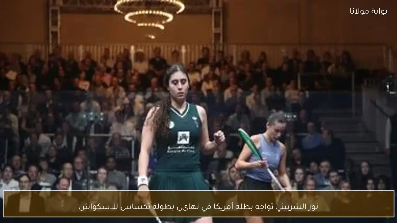 نور الشربيني تواجه بطلة أمريكا في نهائي بطولة تكساس للاسكواش