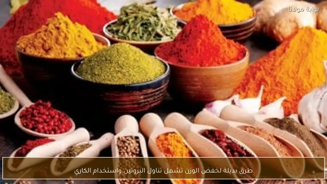 طرق بديلة لخفض الوزن تشمل تناول البروتين واستخدام الكاري