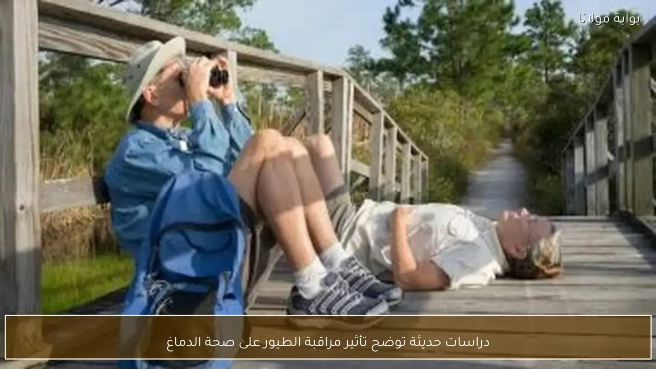 دراسات حديثة توضح تأثير مراقبة الطيور على صحة الدماغ