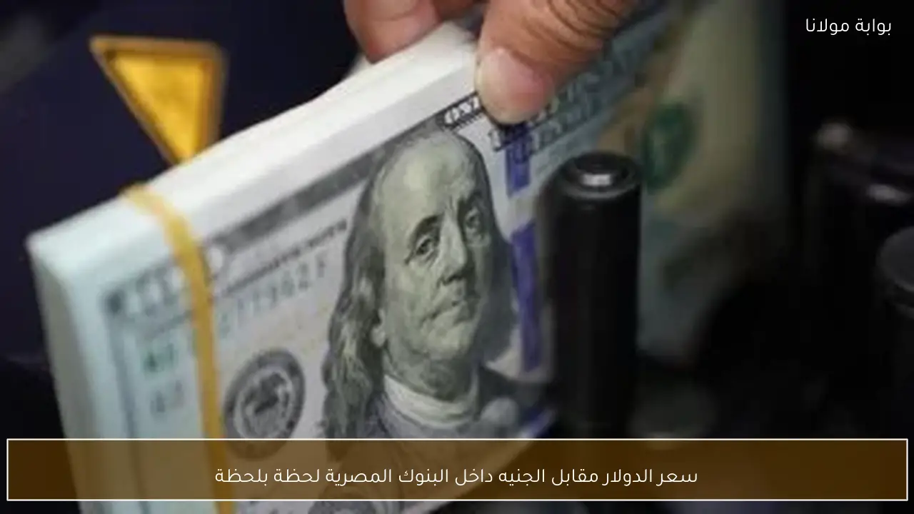 سعر الدولار مقابل الجنيه داخل البنوك المصرية لحظة بلحظة