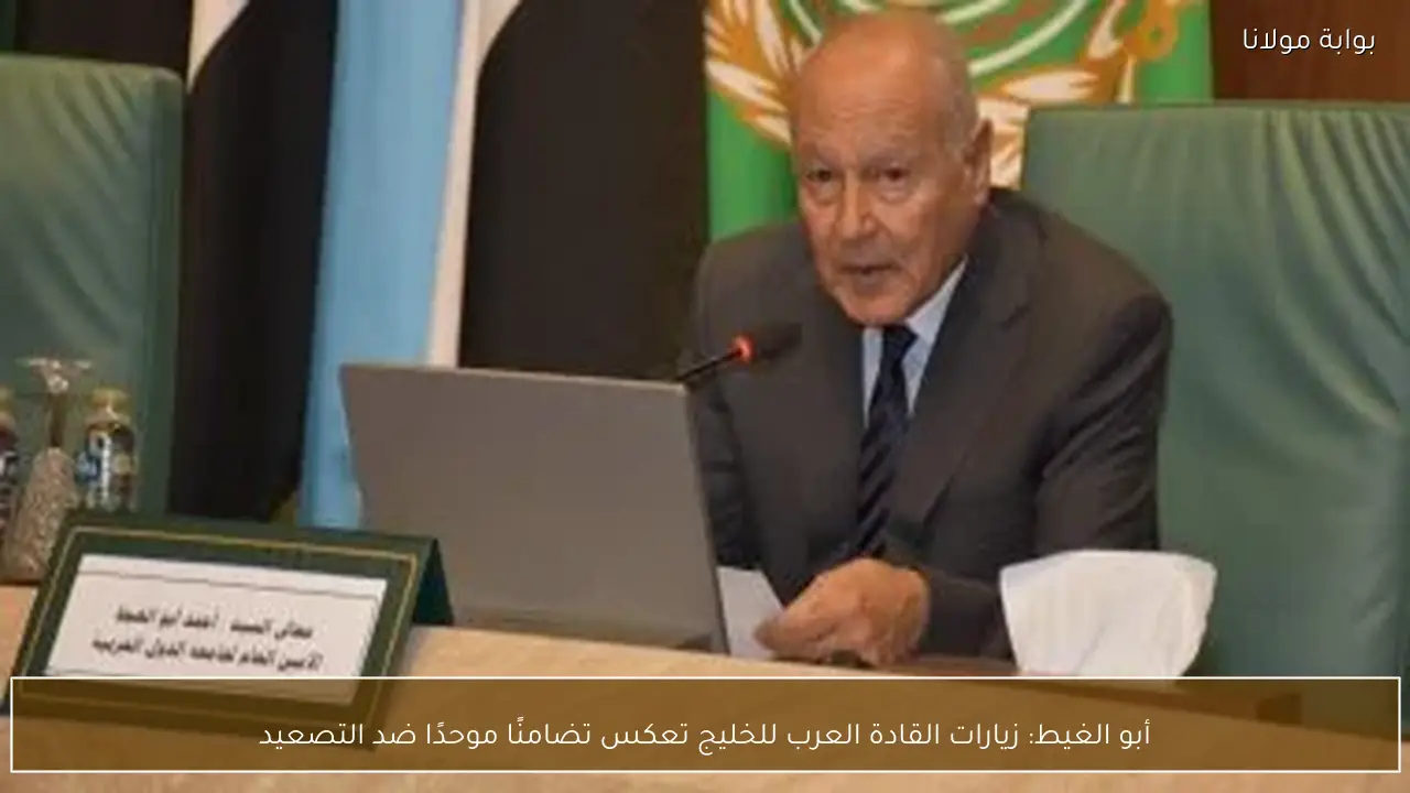 أبو الغيط: زيارات القادة العرب للخليج تعكس تضامنًا موحدًا ضد التصعيد