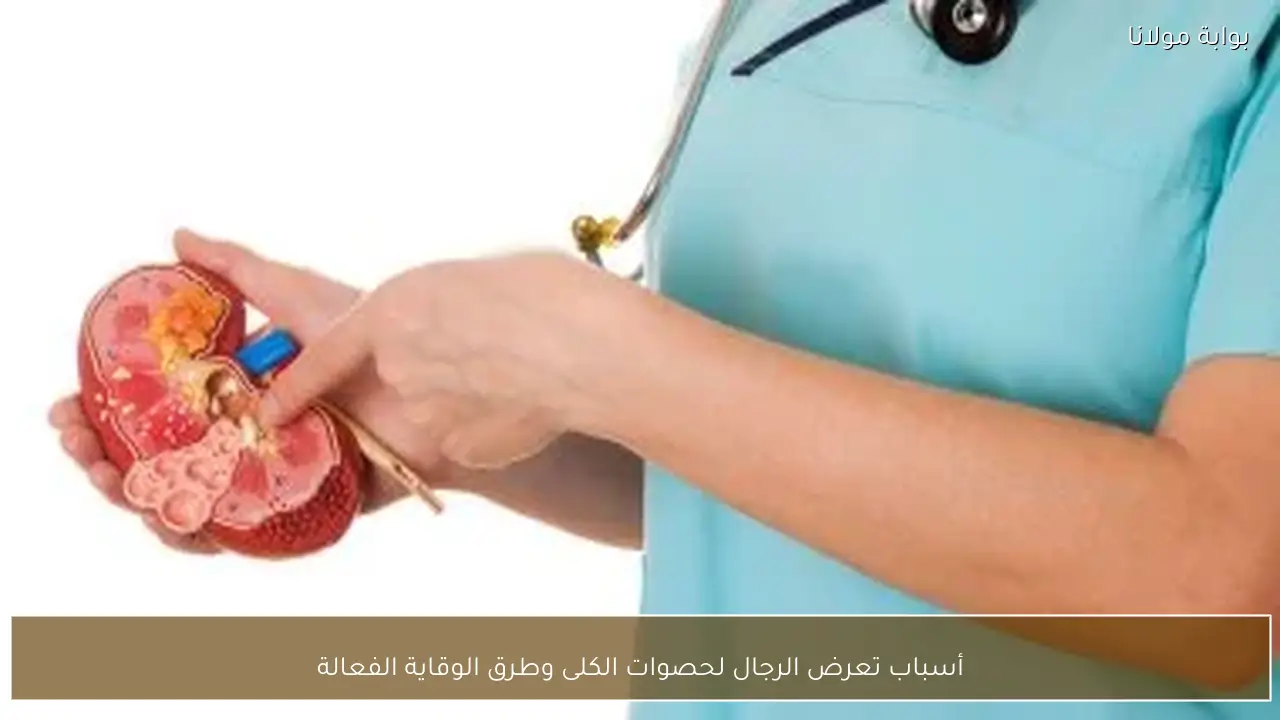أسباب تعرض الرجال لحصوات الكلى وطرق الوقاية الفعالة