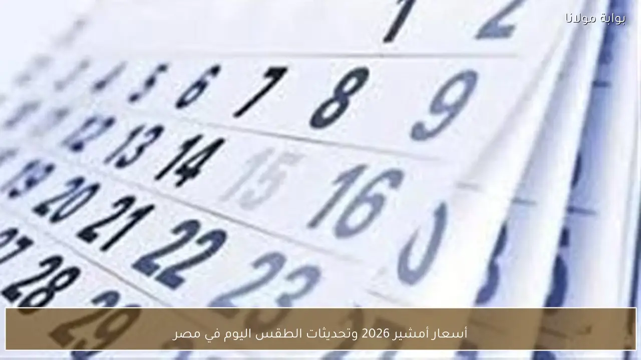 أسعار أمشير 2026 وتحديثات الطقس اليوم في مصر