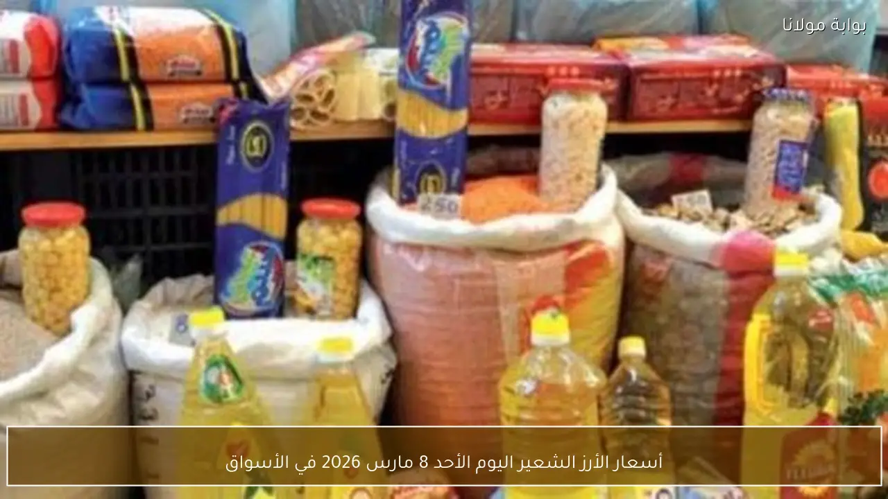أسعار الأرز الشعير اليوم الأحد 8 مارس 2026 في الأسواق