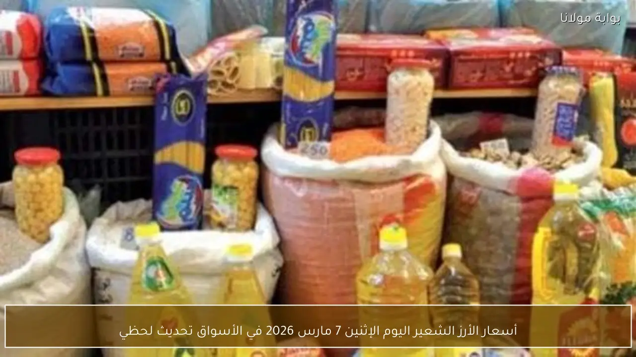 أسعار الأرز الشعير اليوم الإثنين 7 مارس 2026 في الأسواق تحديث لحظي