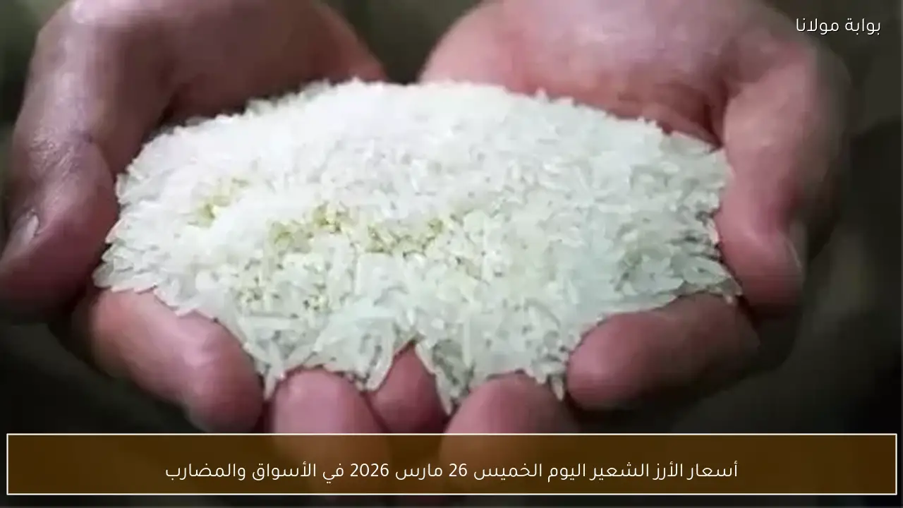 أسعار الأرز الشعير اليوم الخميس 26 مارس 2026 في الأسواق والمضارب