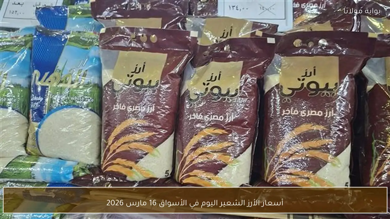 أسعار الأرز الشعير اليوم في الأسواق 16 مارس 2026