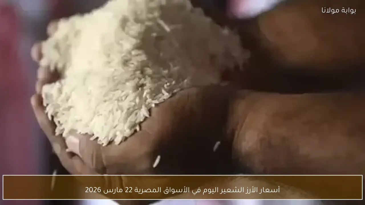 أسعار الأرز الشعير اليوم في الأسواق المصرية 22 مارس 2026