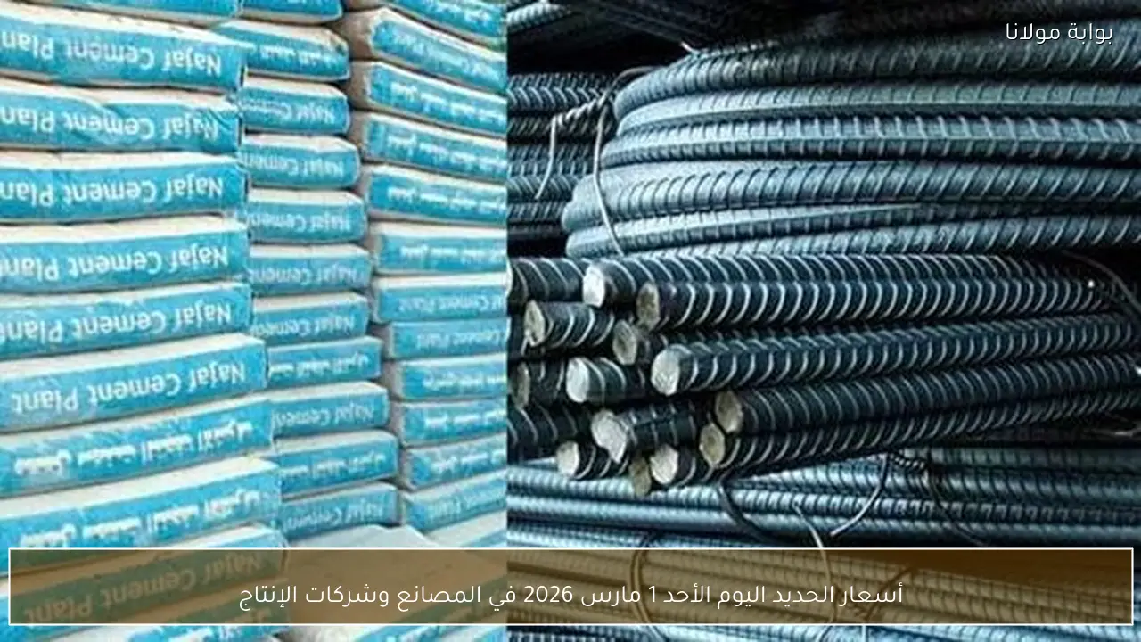 أسعار الحديد اليوم الأحد 1 مارس 2026 في المصانع وشركات الإنتاج