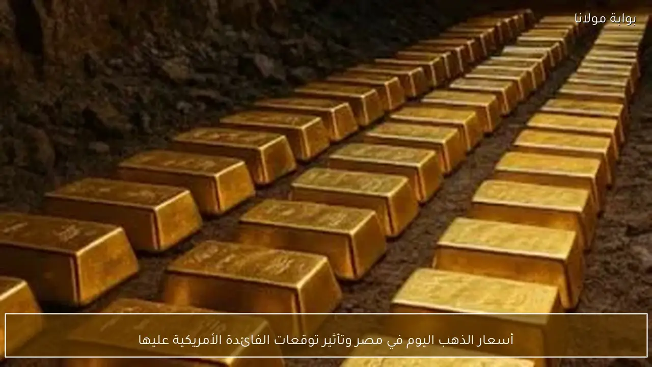 أسعار الذهب اليوم في مصر وتأثير توقعات الفائدة الأمريكية عليها