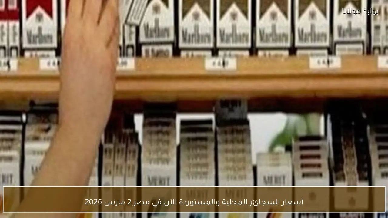 أسعار السجائر المحلية والمستوردة الآن في مصر 2 مارس 2026
