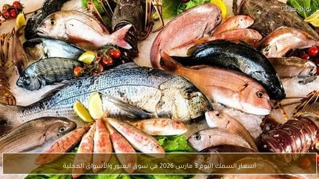 أسعار السمك اليوم 3 مارس 2026 في سوق العبور والأسواق المحلية