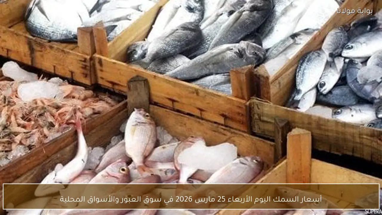 أسعار السمك اليوم الأربعاء 25 مارس 2026 في سوق العبور والأسواق المحلية
