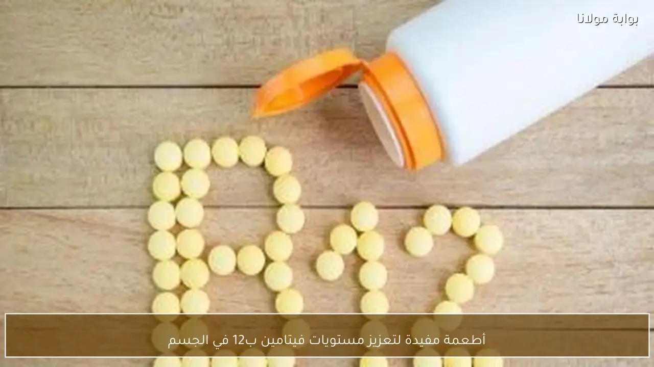 أطعمة مفيدة لتعزيز مستويات فيتامين ب12 في الجسم