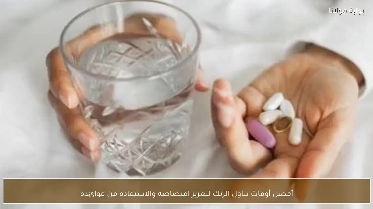 أفضل أوقات تناول الزنك لتعزيز امتصاصه والاستفادة من فوائده