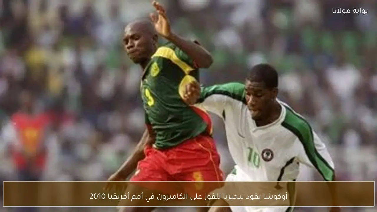 أوكوشا يقود نيجيريا للفوز على الكاميرون في أمم أفريقيا 2010