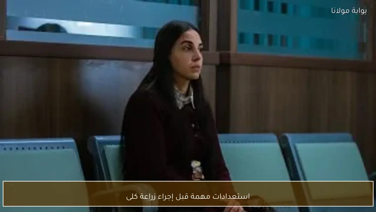 استعدادات مهمة قبل إجراء زراعة كلى