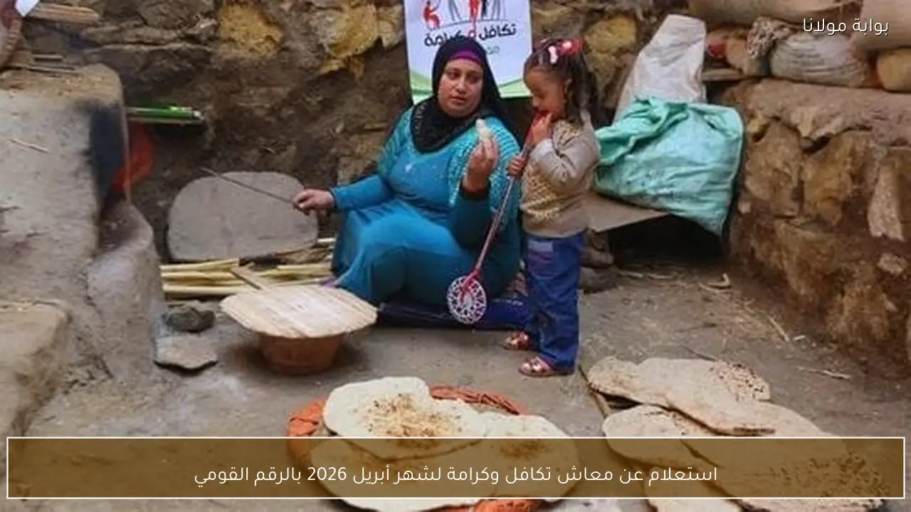 استعلام عن معاش تكافل وكرامة لشهر أبريل 2026 بالرقم القومي